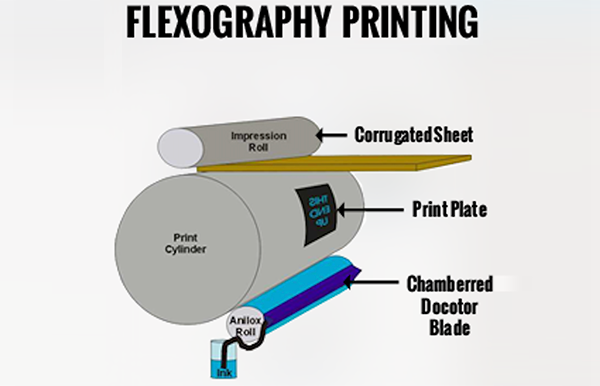 Flexographic Printing on Corrugated Packaging